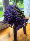 Fresh Folgate Lavender ~ Culinary