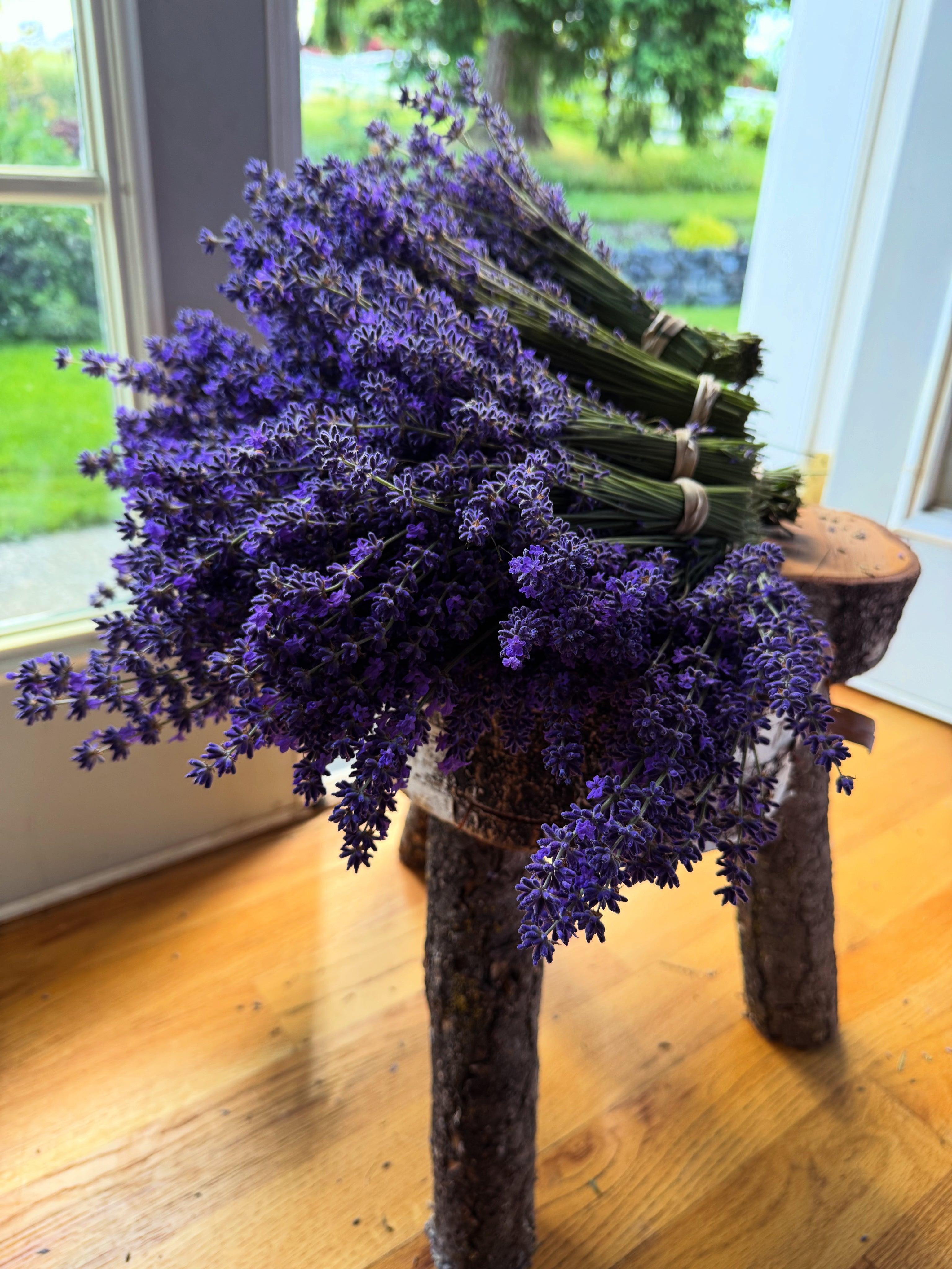 Fresh Folgate Lavender ~ Culinary